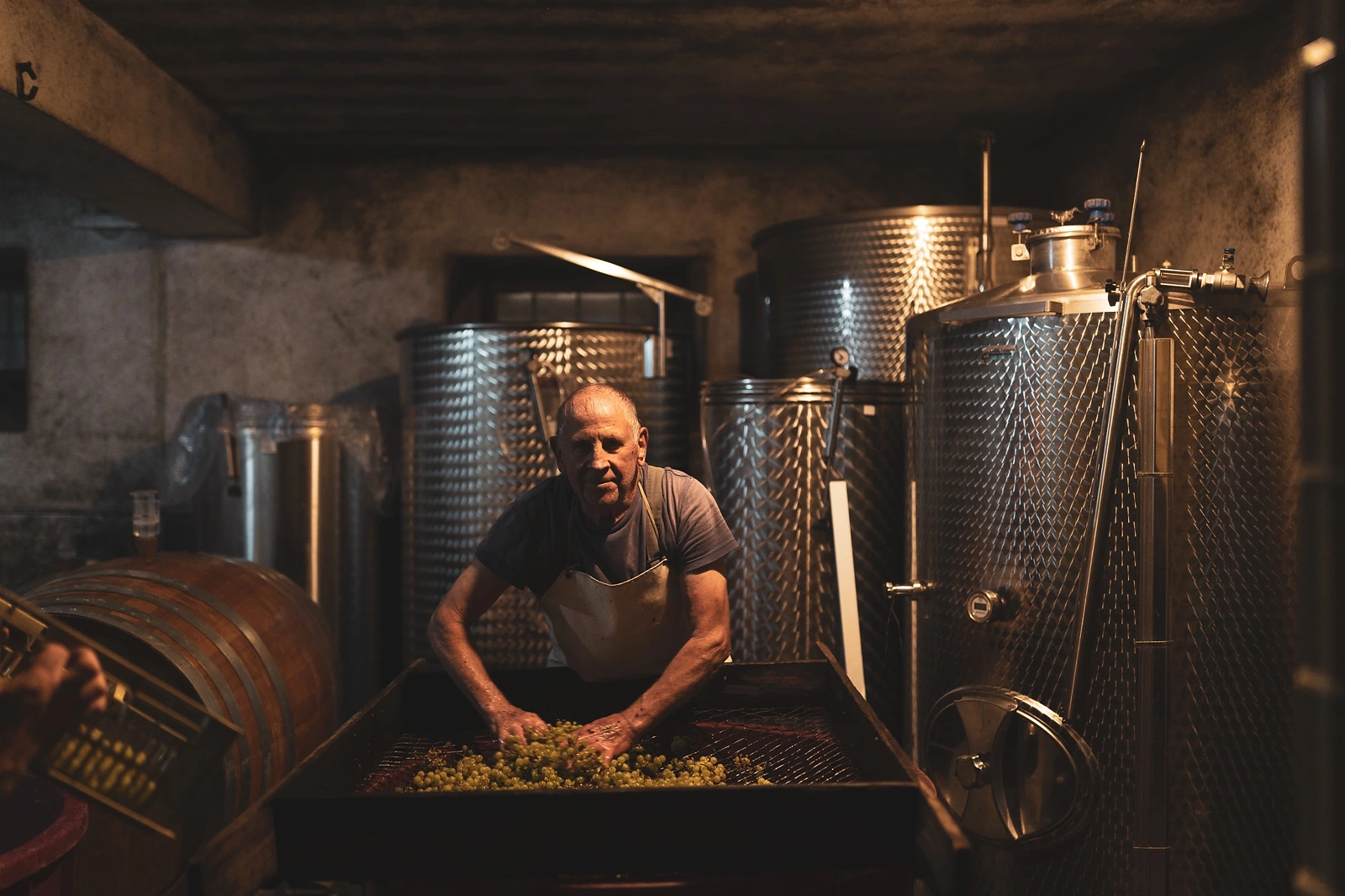 Emil Tavčar in the cellar, pressing grapes